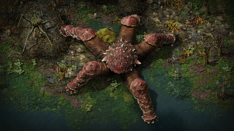 Изображение из объявления Steam