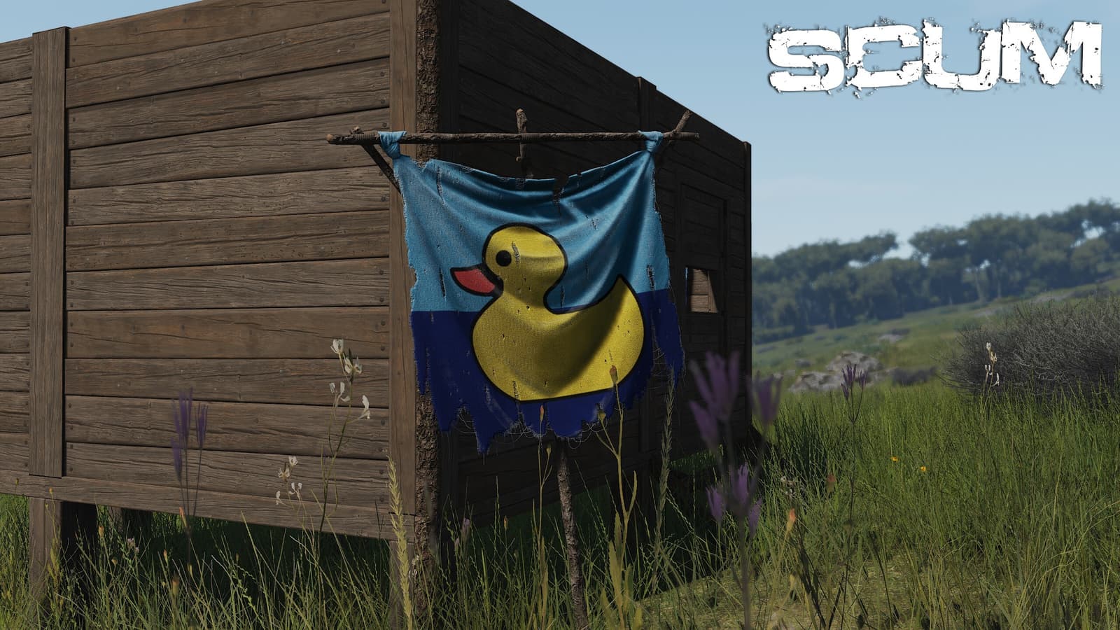 Изображение из объявления Steam
