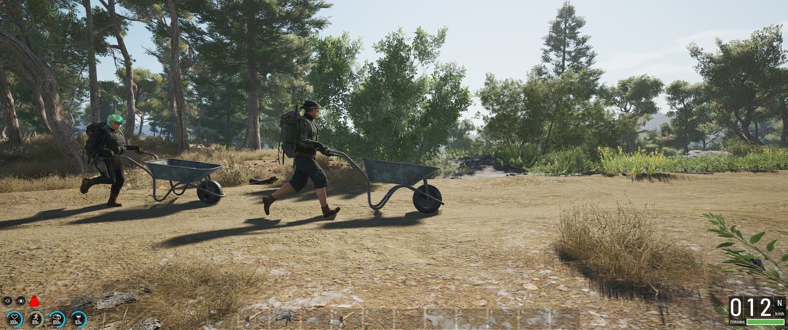 Изображение из объявления Steam