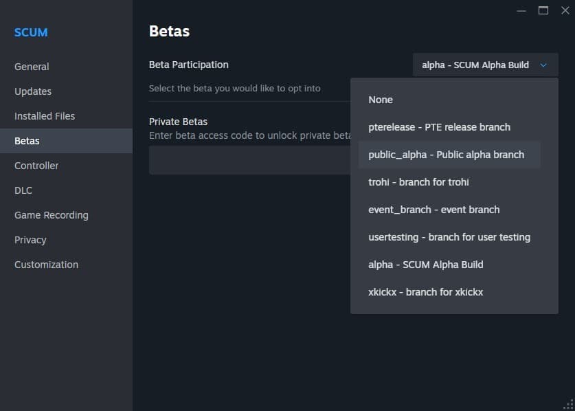 Изображение из объявления Steam