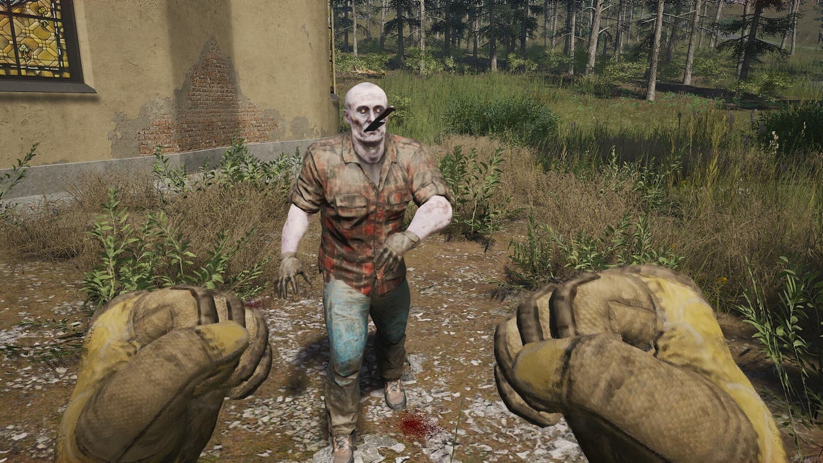 Изображение из объявления Steam