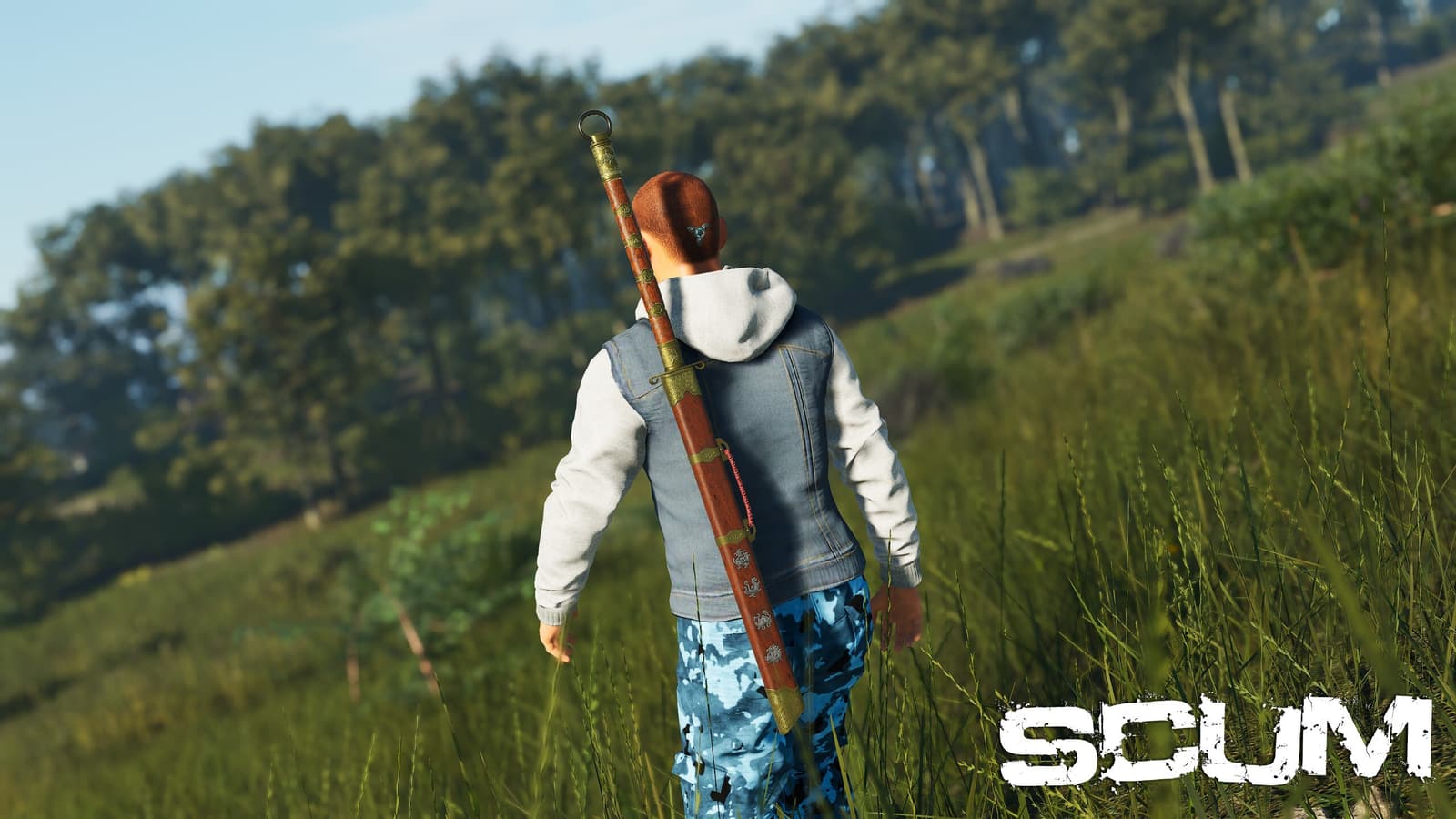 Изображение из объявления Steam