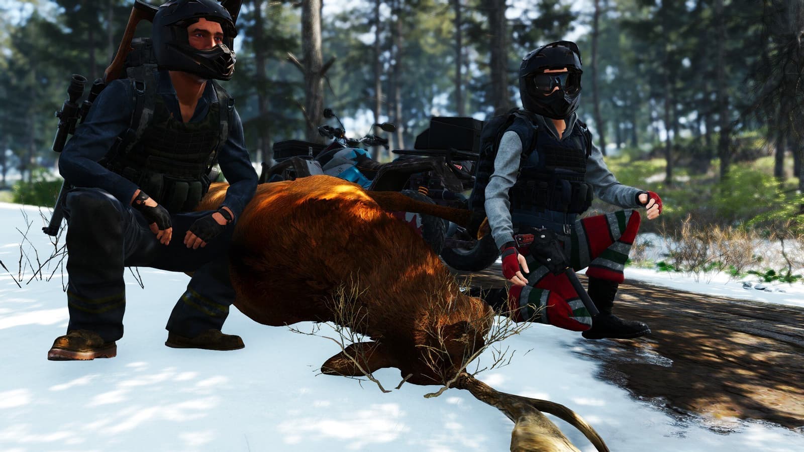 Изображение из объявления Steam