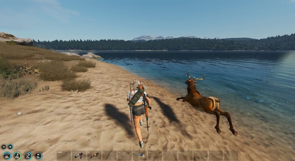 Изображение из объявления Steam