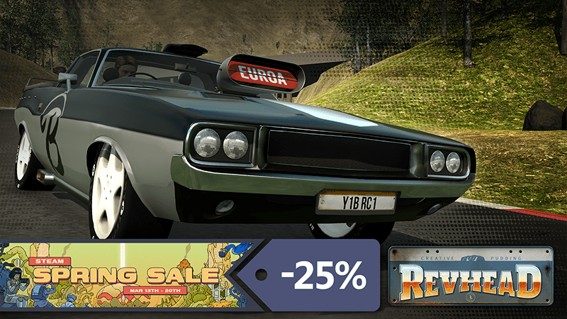 Изображение из объявления Steam
