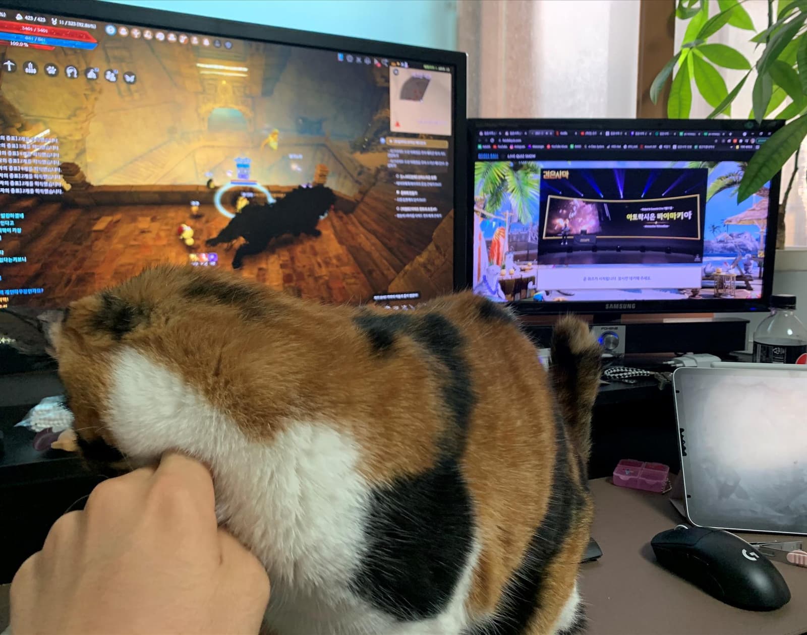 Изображение из объявления Steam