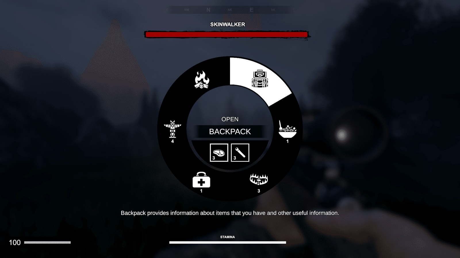 Изображение из объявления Steam