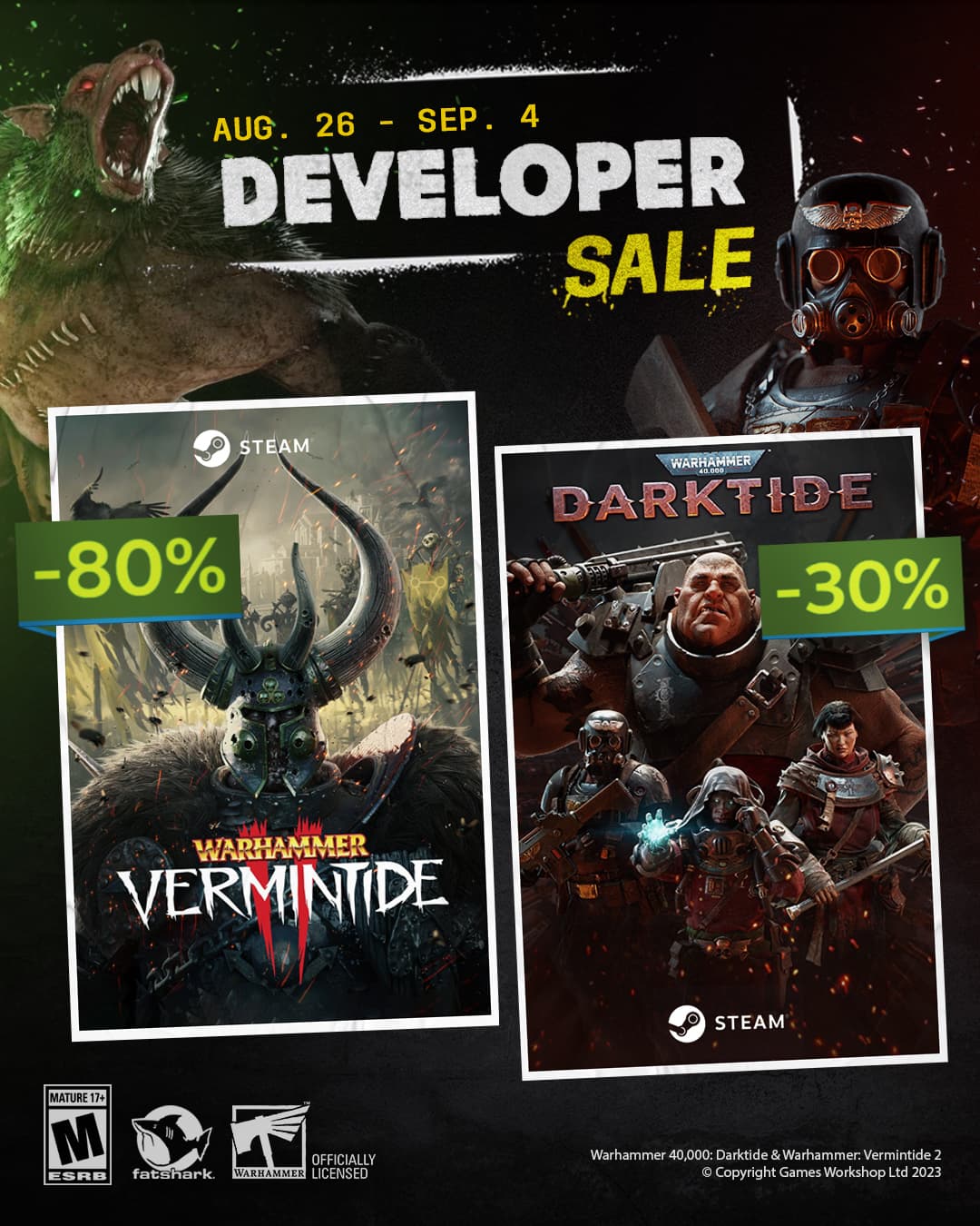 Изображение из объявления Steam