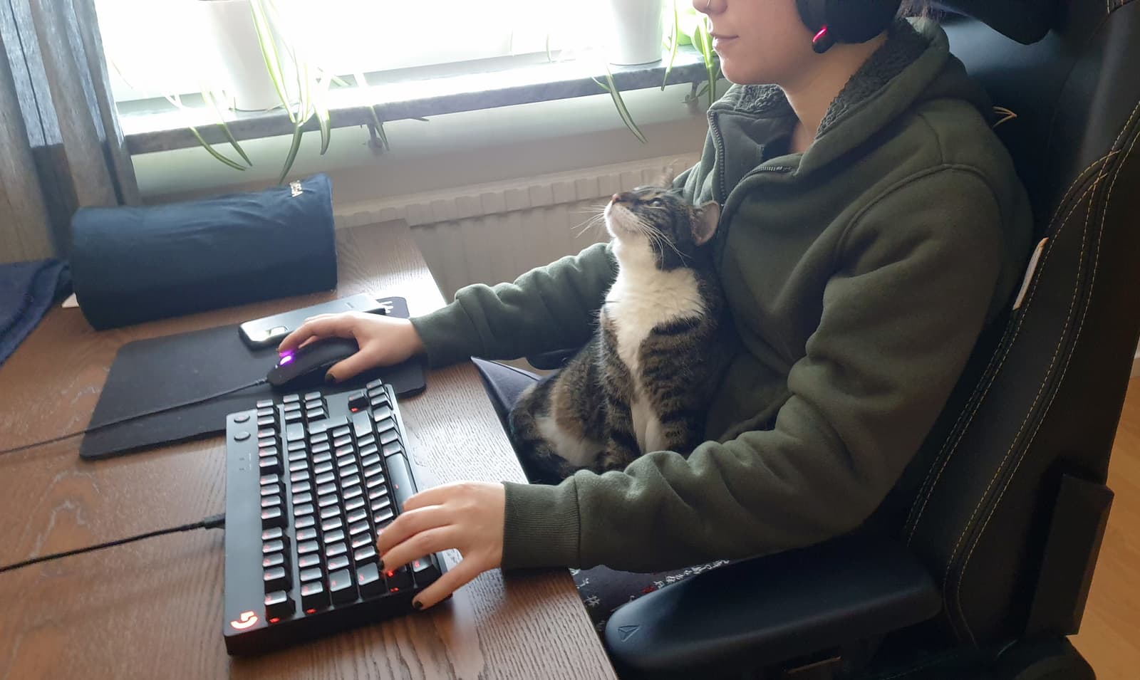 Изображение из объявления Steam