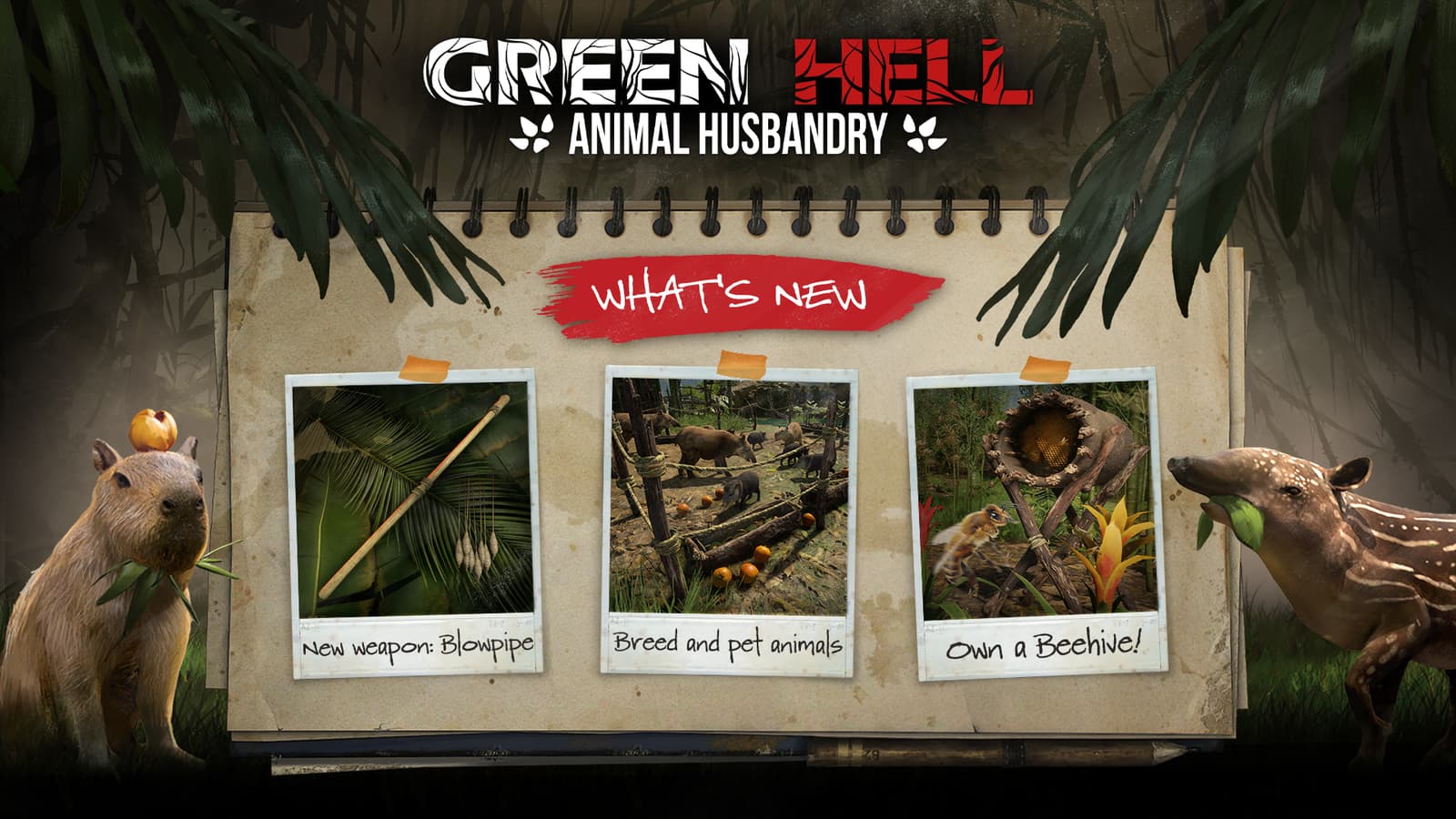 Изображение из объявления Steam