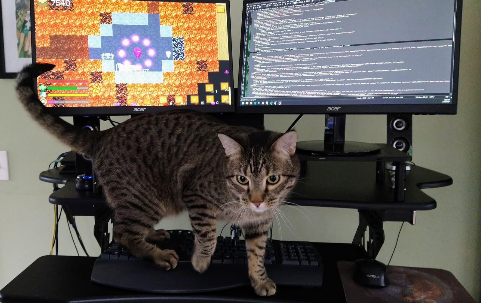Изображение из объявления Steam