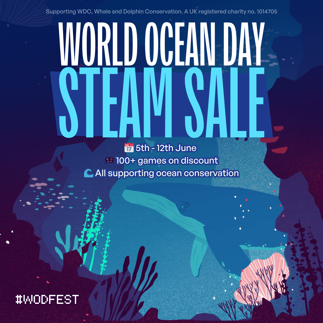 Изображение из объявления Steam