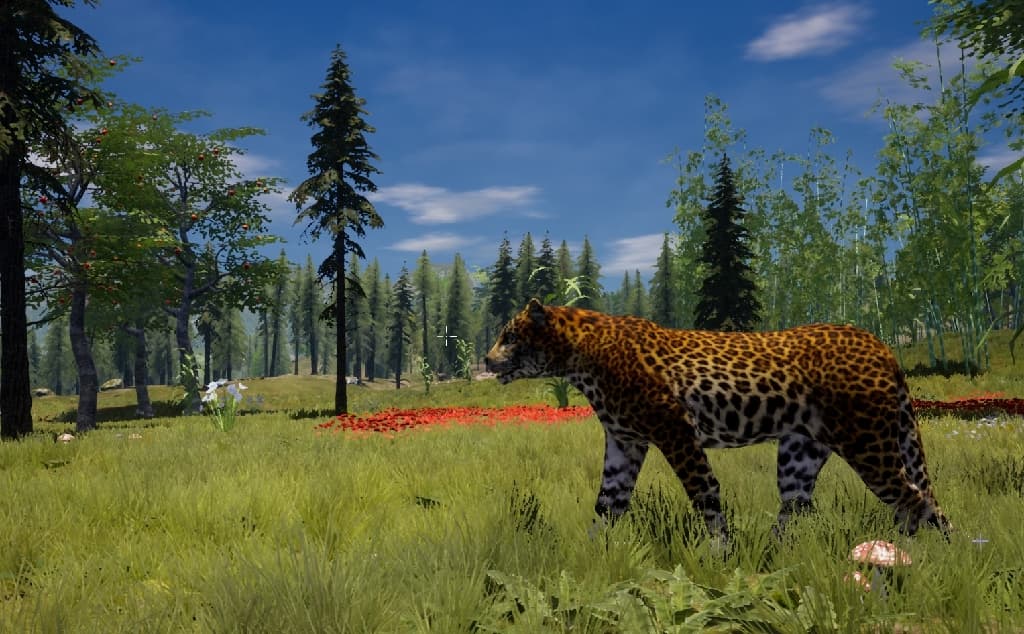 Изображение из объявления Steam
