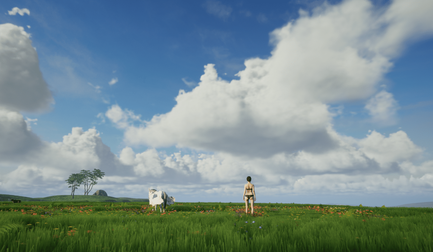 Изображение из объявления Steam