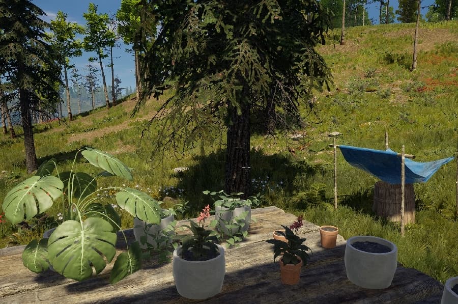 Изображение из объявления Steam