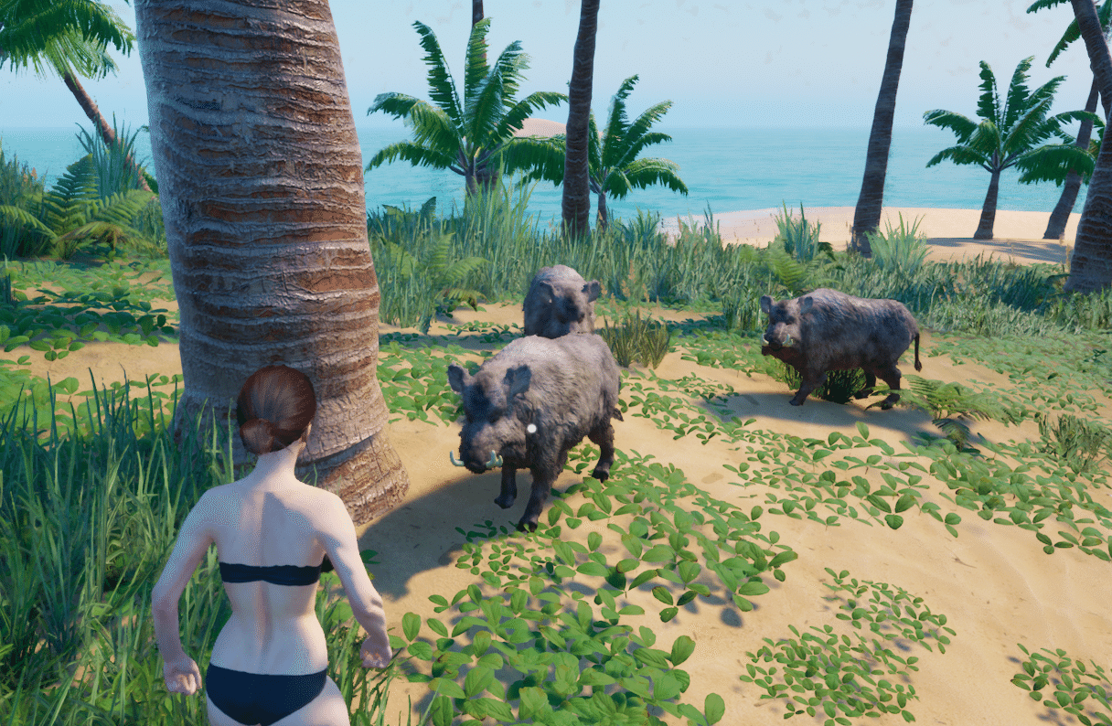 Изображение из объявления Steam