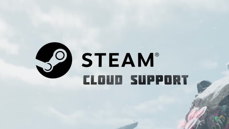 Изображение из объявления Steam