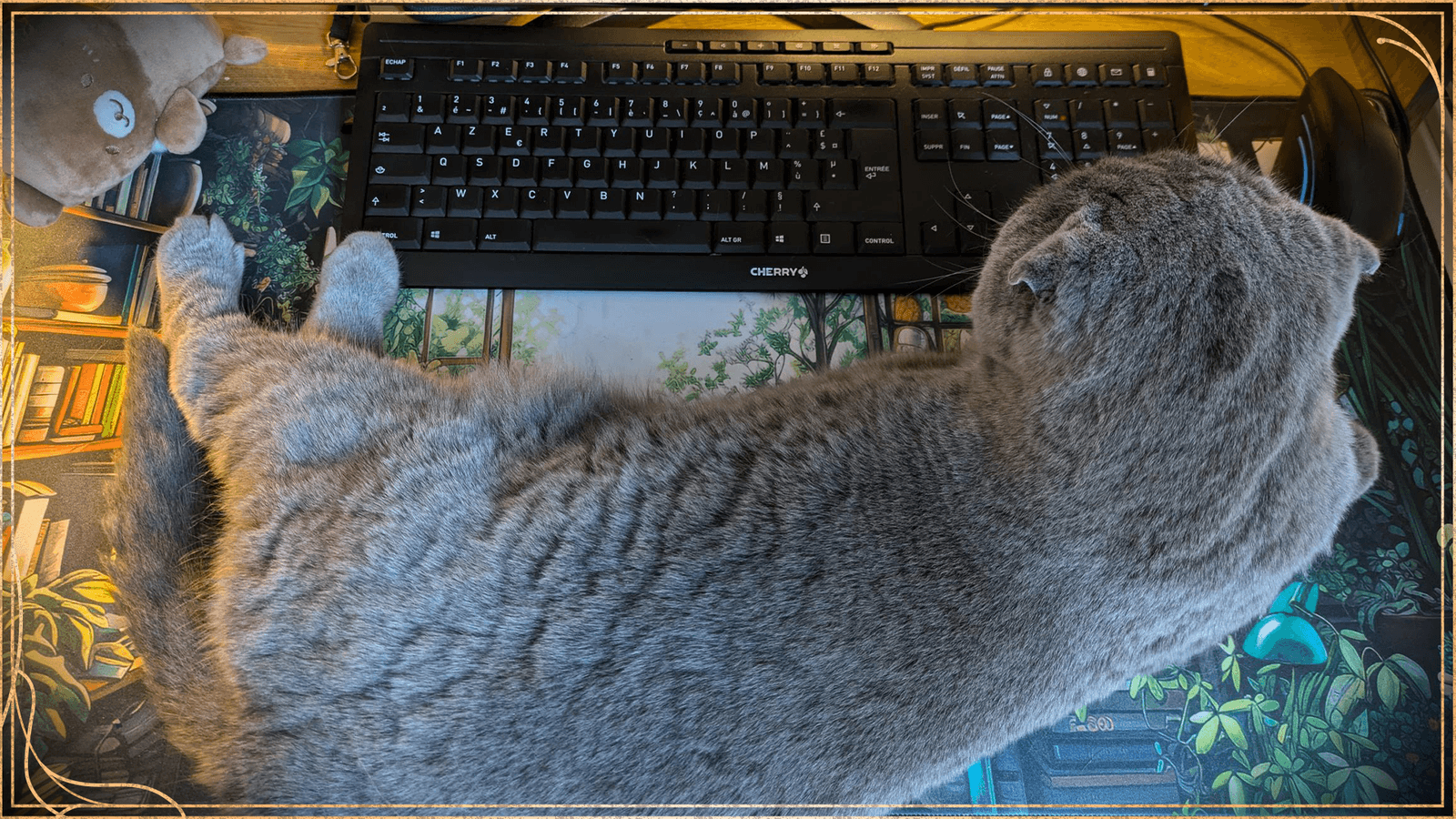 Изображение из объявления Steam