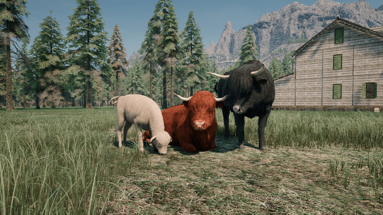 Изображение из объявления Steam