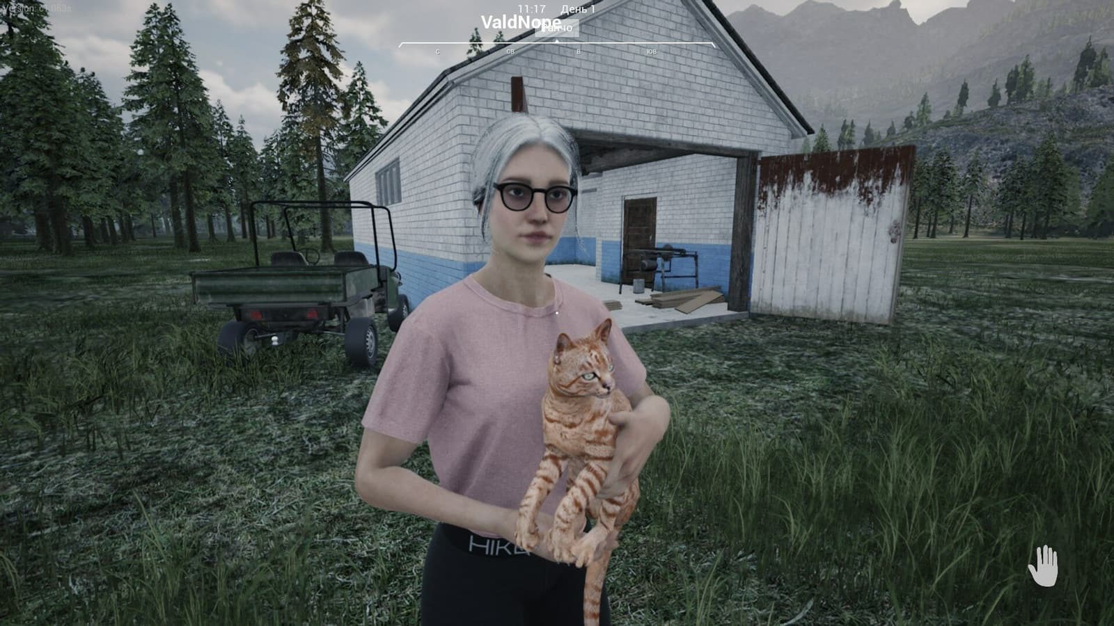 Изображение из объявления Steam