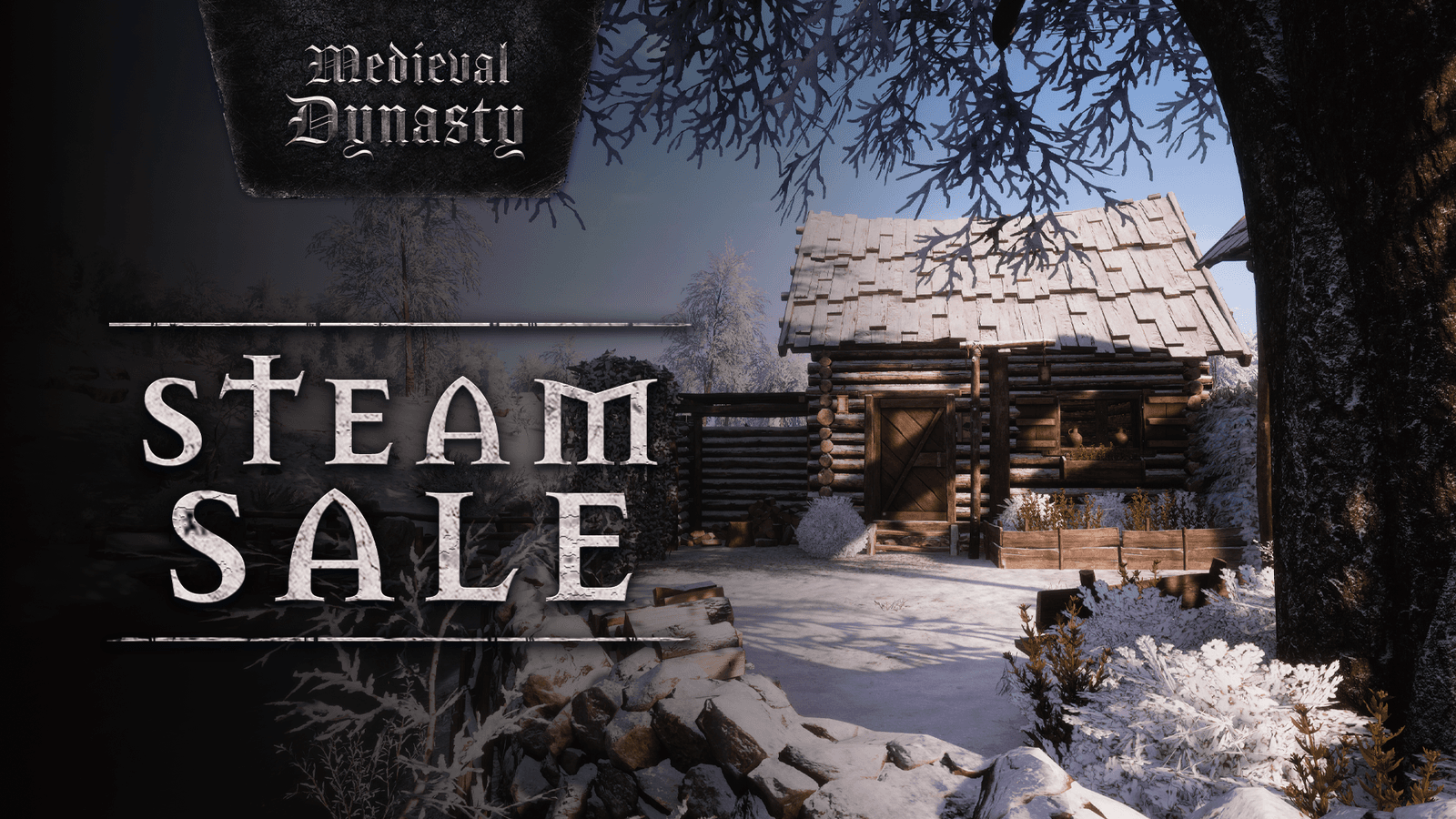 Изображение из объявления Steam