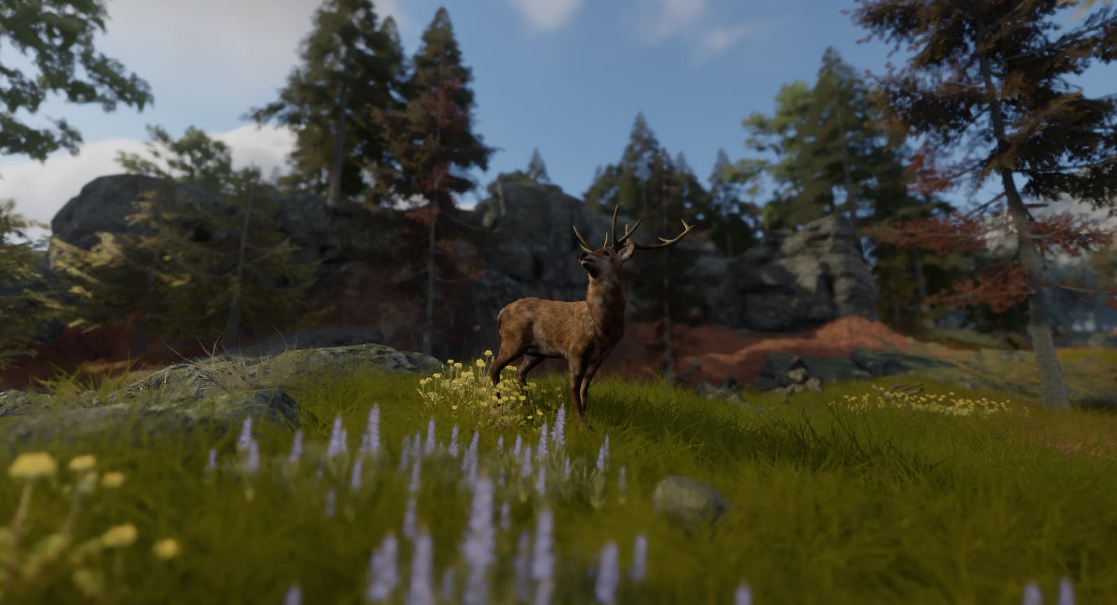 Изображение из объявления Steam