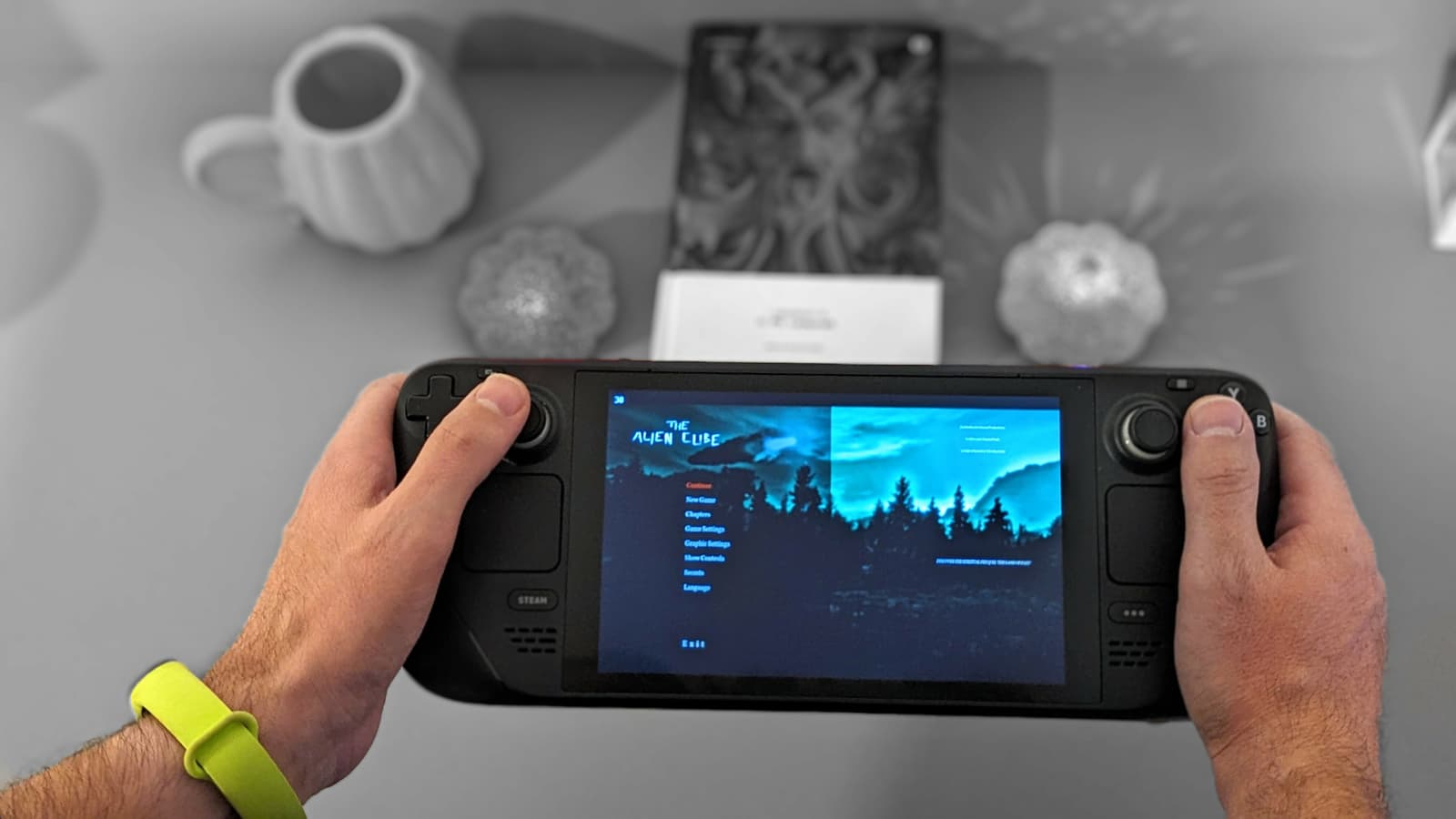 Изображение из объявления Steam