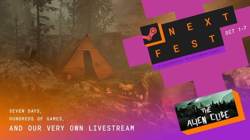 Изображение из объявления Steam