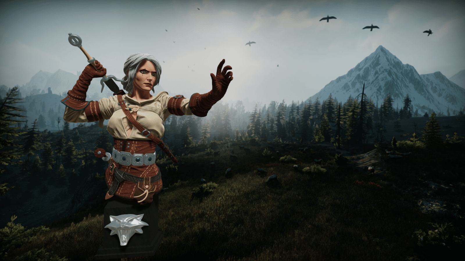 Изображение из объявления Steam