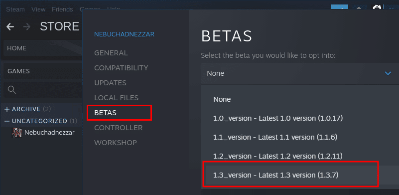Изображение из объявления Steam