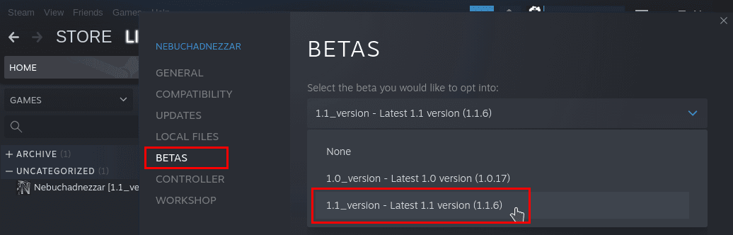Изображение из объявления Steam