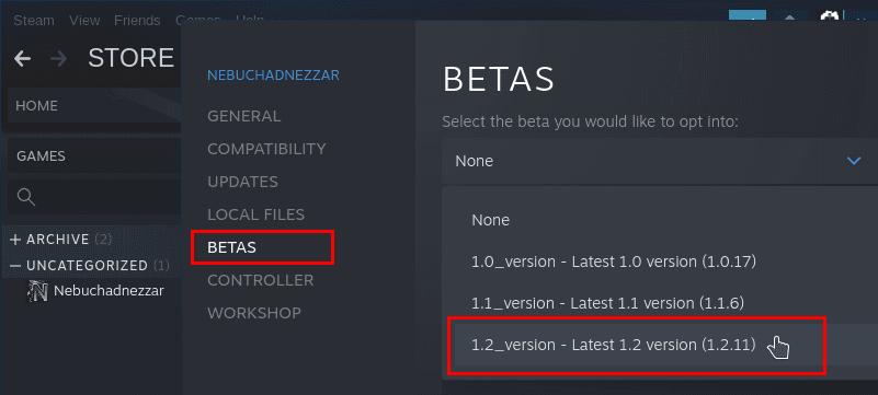 Изображение из объявления Steam