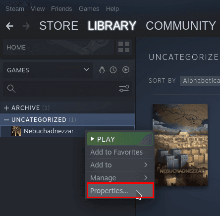Изображение из объявления Steam