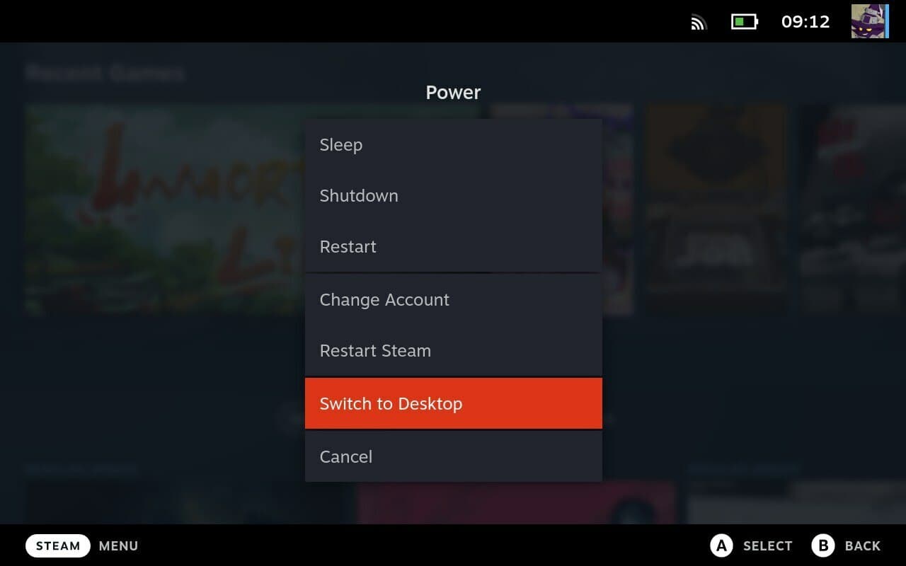 Изображение из объявления Steam