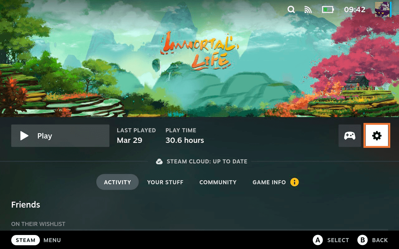 Изображение из объявления Steam