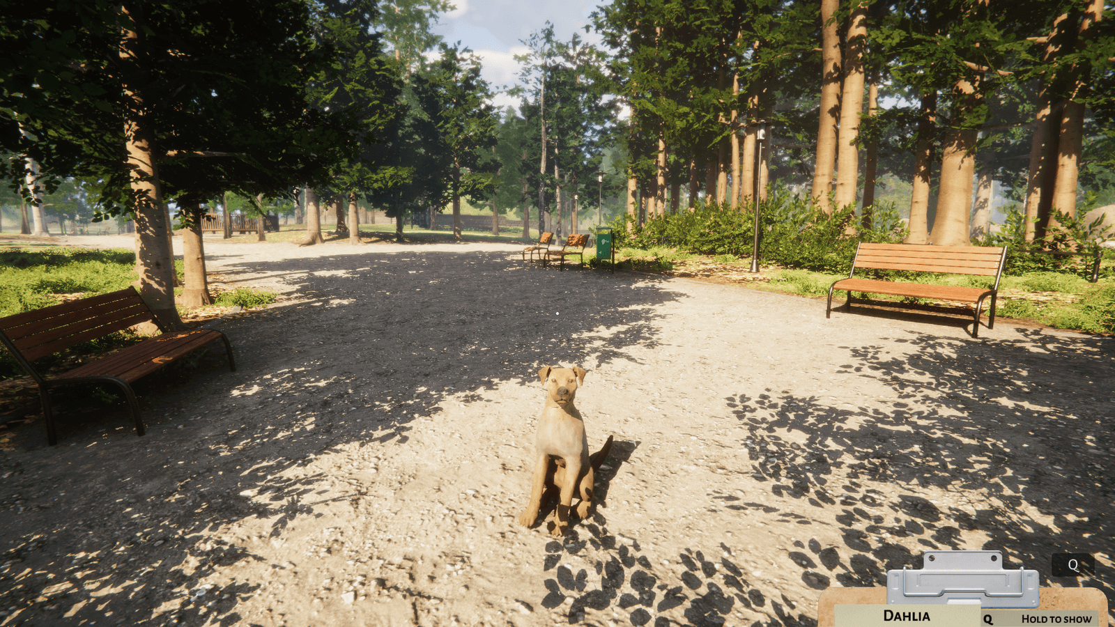 Изображение из объявления Steam
