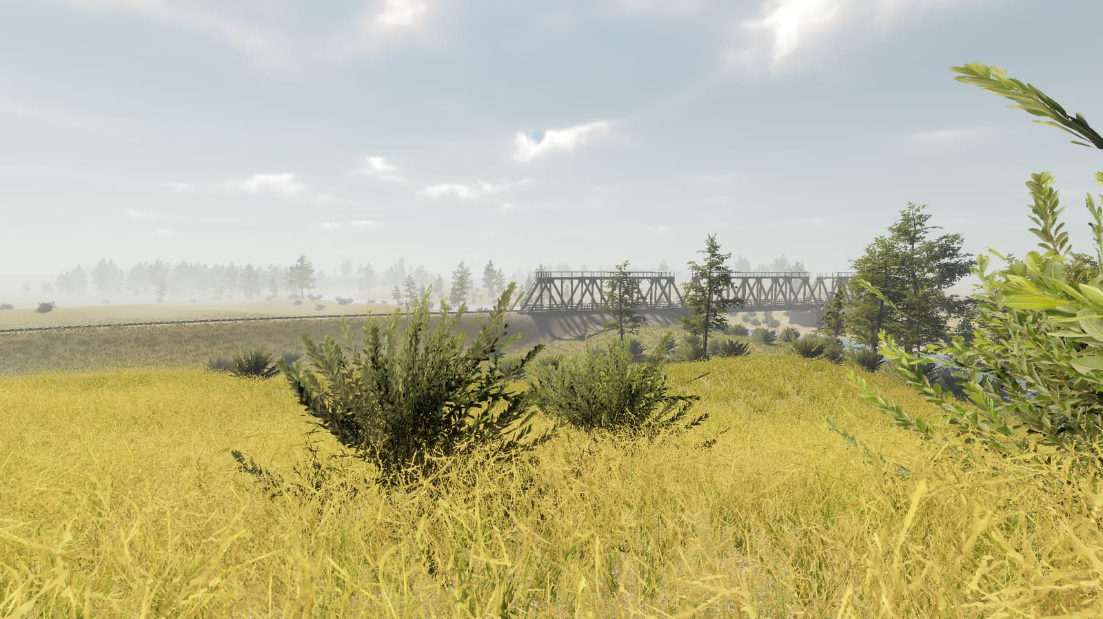 Изображение из объявления Steam