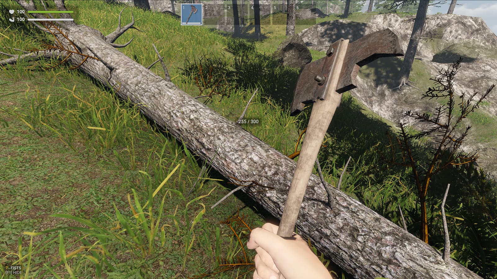 Изображение из объявления Steam