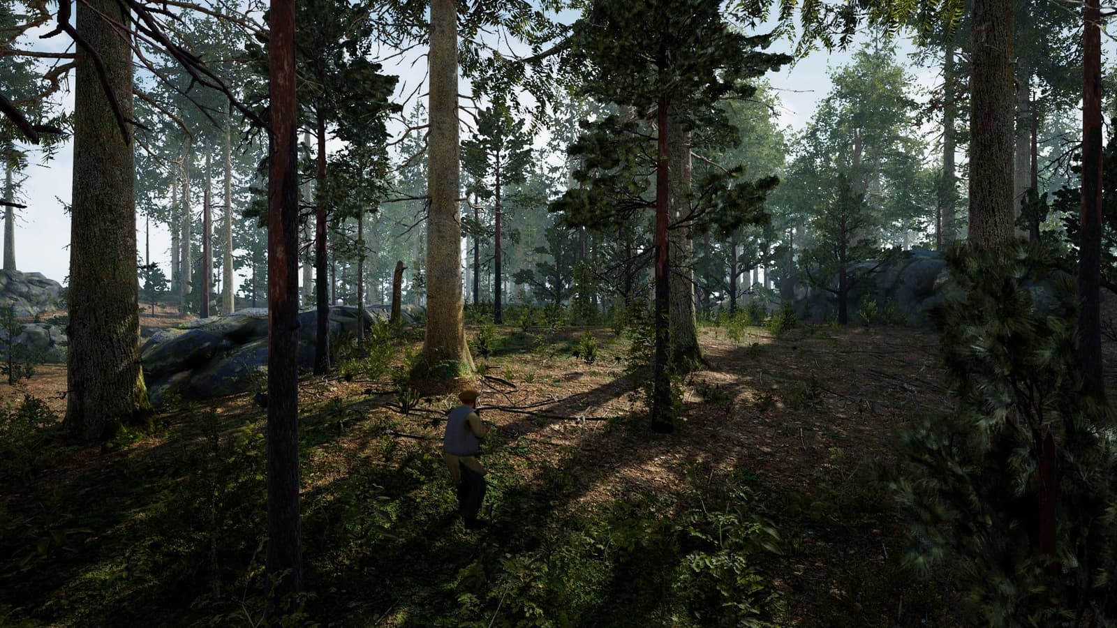 Изображение из объявления Steam