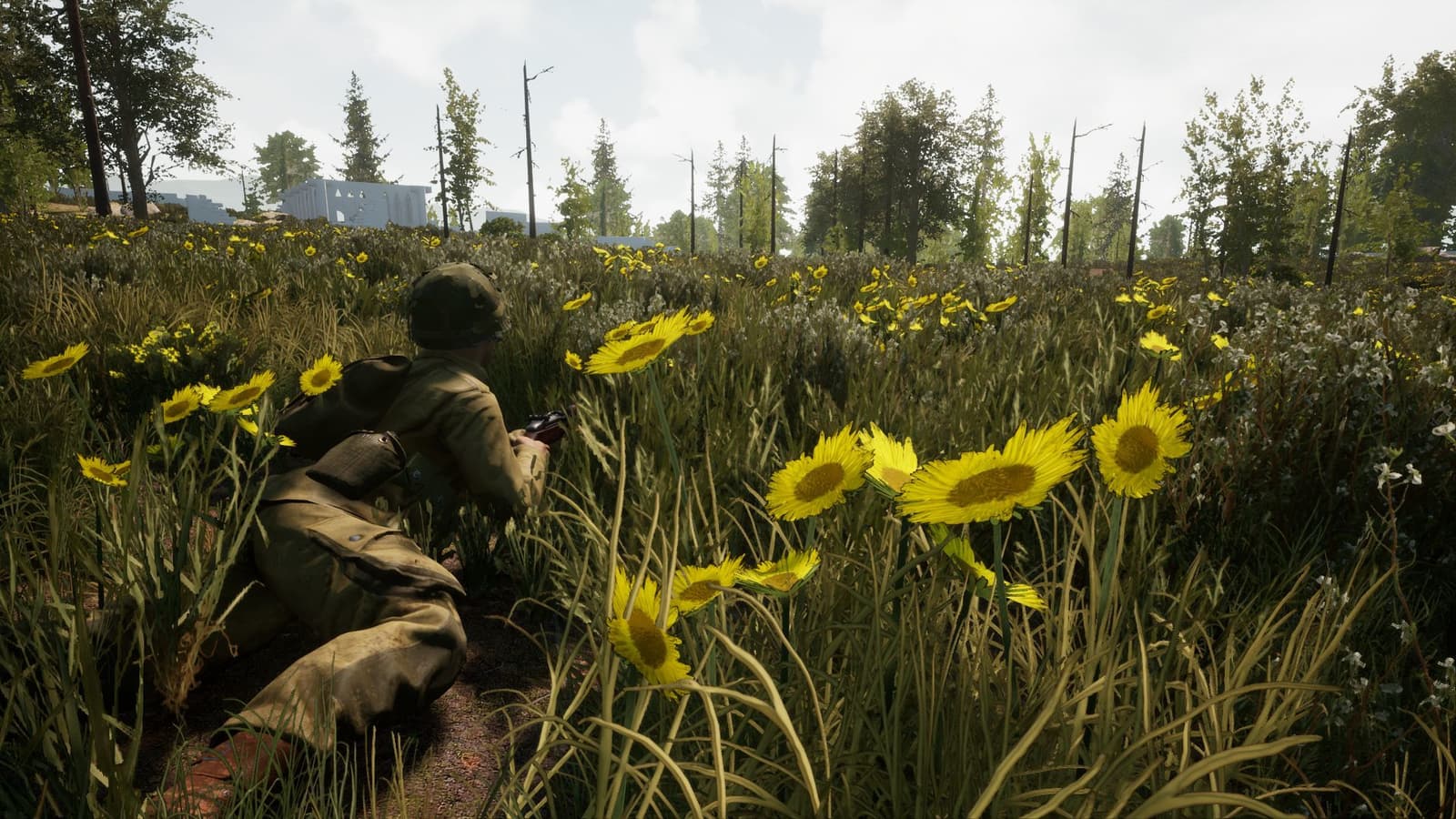 Изображение из объявления Steam