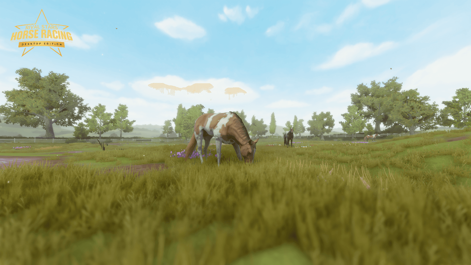 Изображение из объявления Steam