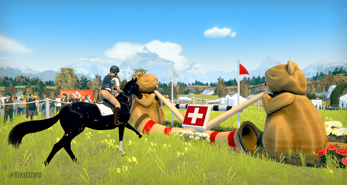 Изображение из объявления Steam