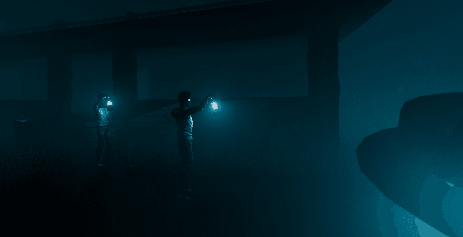 Изображение из объявления Steam