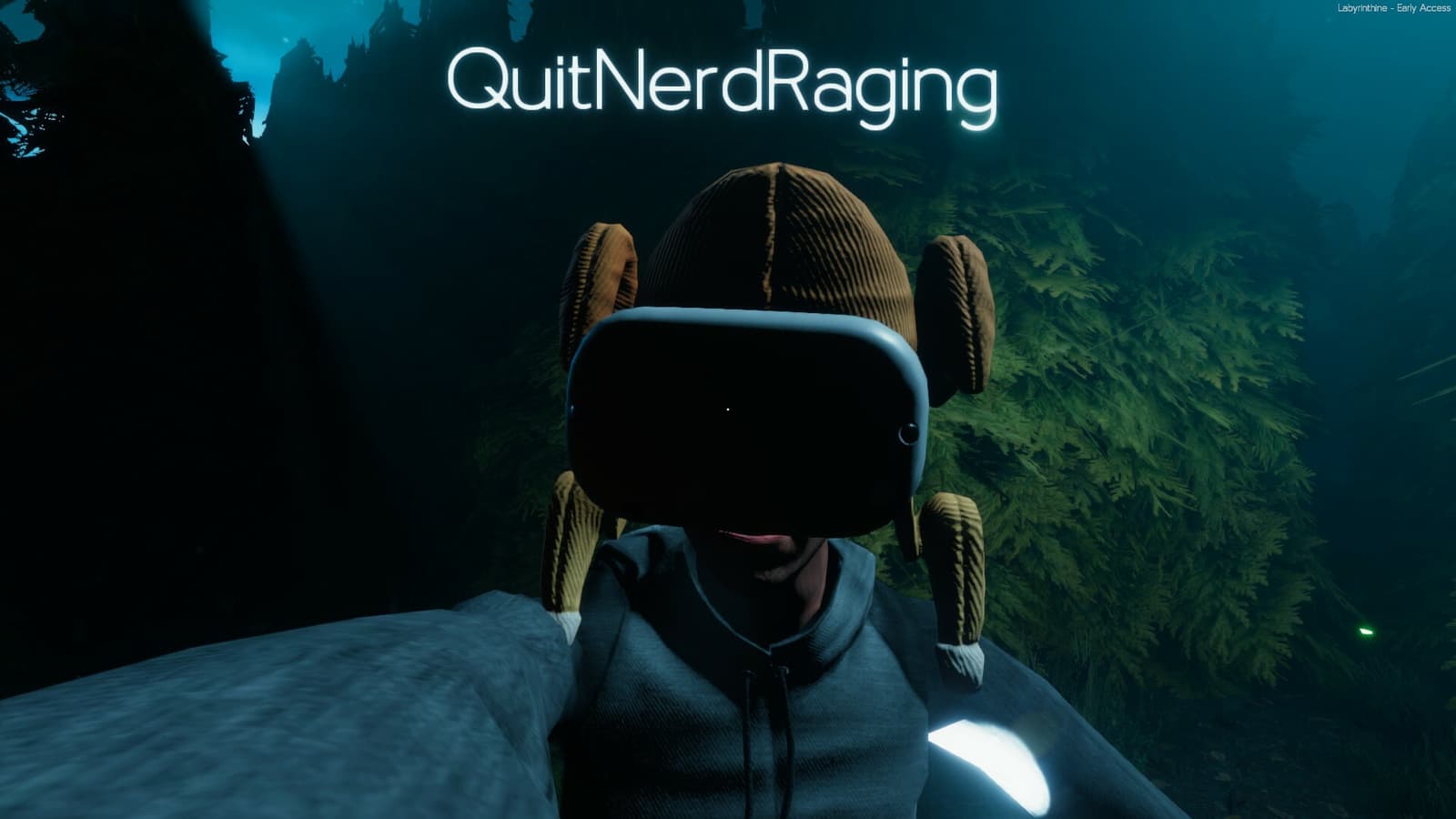 Изображение из объявления Steam
