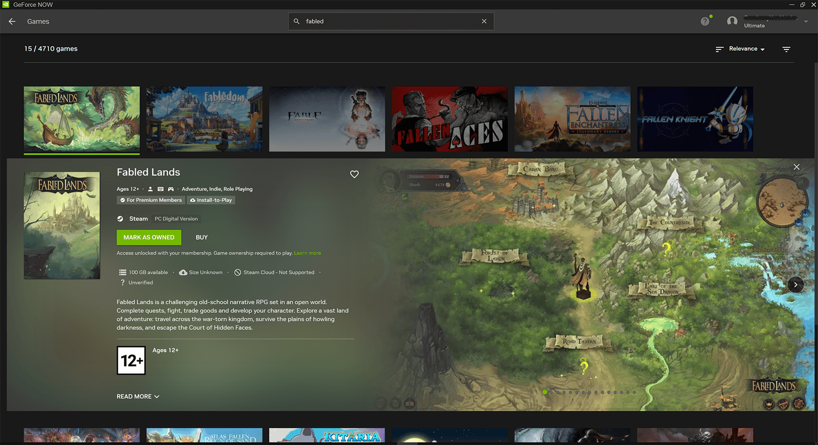Изображение из объявления Steam