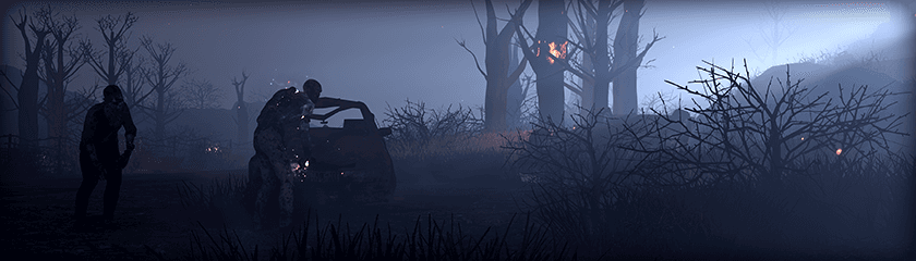 Изображение из объявления Steam