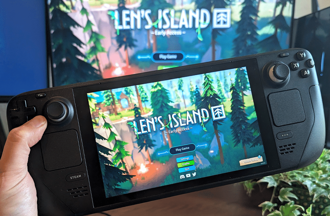 Изображение из объявления Steam