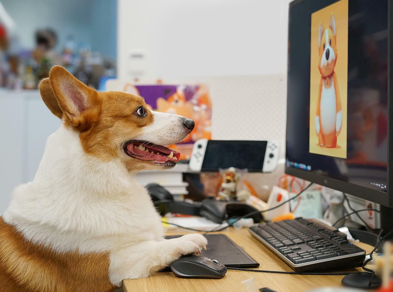 Изображение из объявления Steam