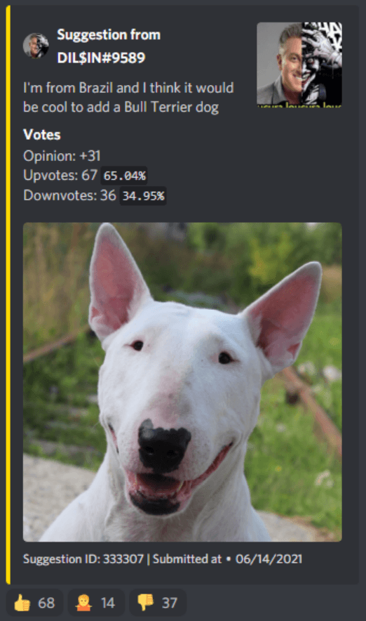 Изображение из объявления Steam