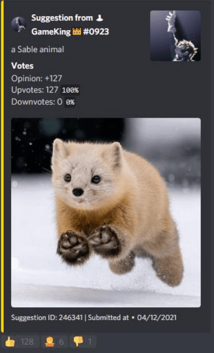 Изображение из объявления Steam